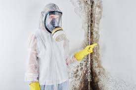 Best Mold Odor Removal Services  in Manhasset Hills, NY